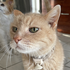Kit