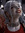 Kᵅᵵ { Harley Quinn for halloween }