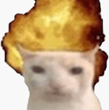 Fafa