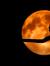 Spark