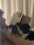 Dom Pet...