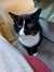 Izzy