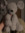 FosterTheGirlWhoLived