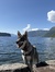 Vilde H...