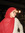 Rahma Mahmoud